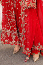 MARIA B Red & Maroon Chiffon Embroidery!Amina's collection