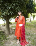 Aneels Luxury Embroidered Dhanak Suit With Printed Shawl | Amina’s Collection